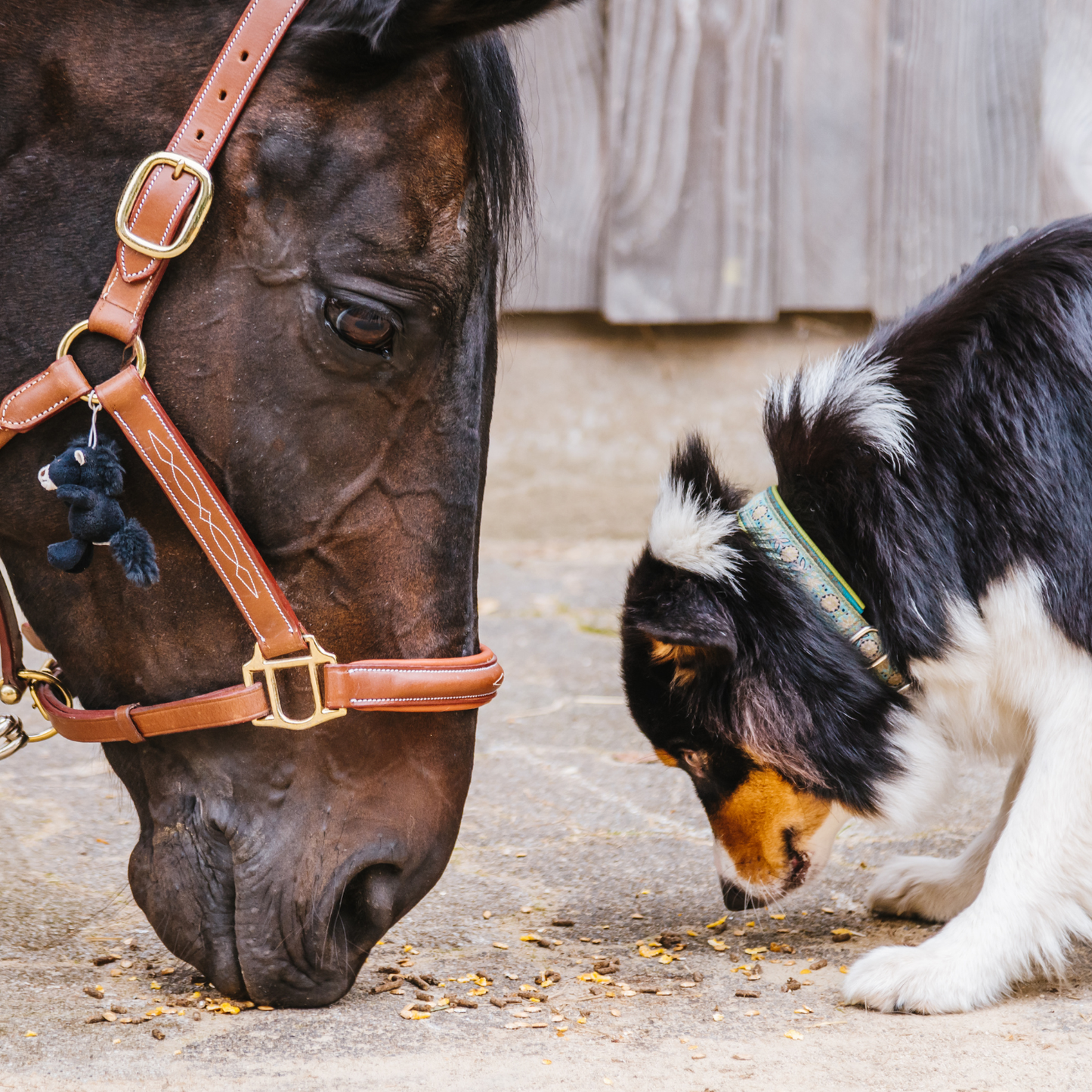 »Tierliebe« Blockadenlöser-Armband aus Achat und Onyx inkl. abgebrochenem Stern
