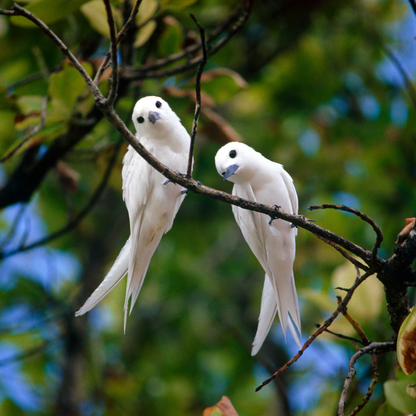 »Tierliebe« Blockadenlöser-Armband aus Achat und Onyx inkl. abgebrochenem Stern